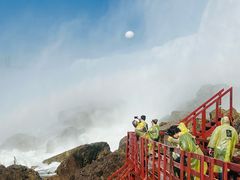 -尼亚加拉瀑布州立公园
