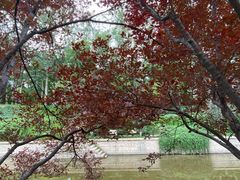 -元大都城垣遗址公园