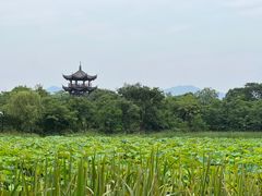 -西溪国家湿地公园