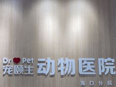-宠颐生动物医院·猫科·心脏科(海口分院)