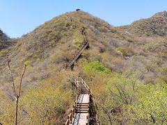 -大岭沟猕猴桃谷风景区