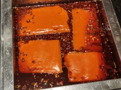 -红鼎坊·老成都火锅(新南门店)