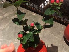 -京华烟云·北京烤鸭(领展购物广场·中关村店)