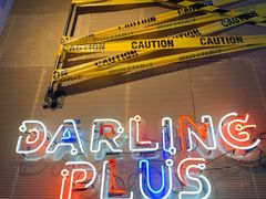 -Darling Queen·Mini·Live·House