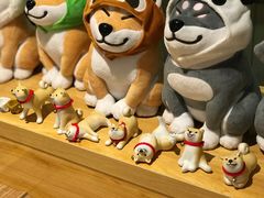 -柴务处·柴犬主题狗咖