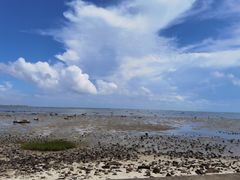 -北海金海湾红树林生态旅游区