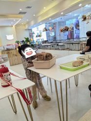 -Moni星球萌宠·小马宝莉·灵蛇·高端高阶全萌宠互动体验俱乐部(红豆国际广场店)