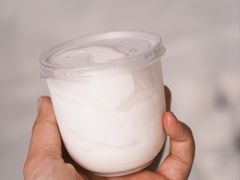 -洪馨椰子