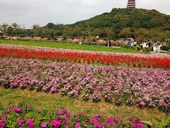 -清溪大王山森林公园