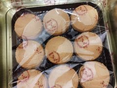 -珍妮曲奇聪明小熊(上环店)