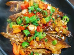 -龙小海荆沙鸽子店(瑞安街店)