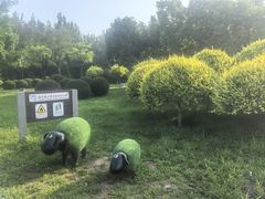 -辽宁团山国家级海洋公园