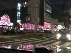 -矢场猪(名古屋站三井楼北馆店)