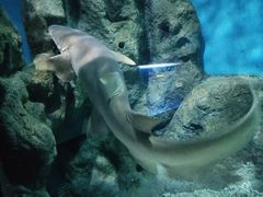 -福州罗源湾海洋世界旅游区