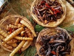 -昆虫窝子·特色云南菜(拓东路总店)