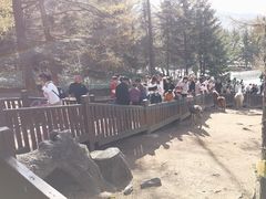 -横道河子东北虎林园