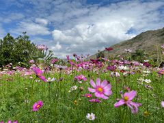 -三亚南山文化旅游区
