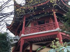 -汇龙潭