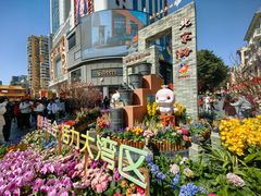 -越秀西湖花市(广州城市广场花卉店)