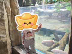 -合肥海洋世界