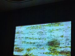 -江南足纪·影院足道·轻奢SPA(笋岗HALO广场店)