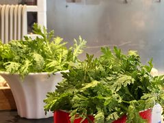 -洞子口重庆鲜货火锅(楚翘城旗舰店)