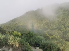 -梧桐山风景名胜区