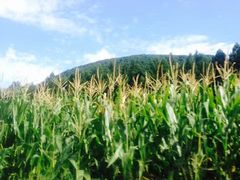 -镜泊小镇(东长安街店)