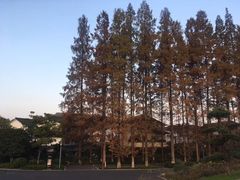 -杭州雅谷泉山庄酒店-餐厅