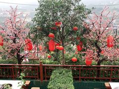 -枇杷园食为鲜火锅(南山店)