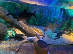 -沈阳海洋探索中心