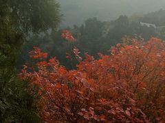-香山公园-东宫门售票处