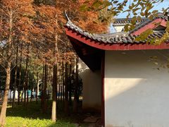 -堤角公园