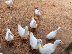 -HERRE·FARM 赫尔露营农场·团建聚会包场