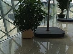 -肯德基(中心书城店)