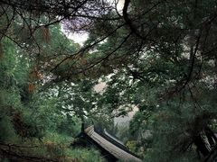 -潭柘寺景区