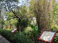 -长安公园
