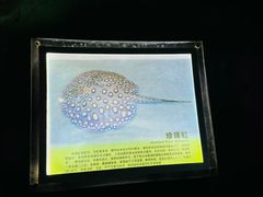 -台州海洋世界