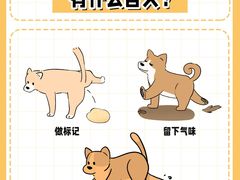 -半岛宠物医院24小时(科华中路店)