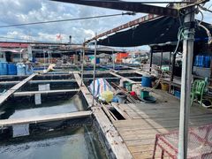 -蓝湾碧波·老字号·疍家非遗海上餐厅