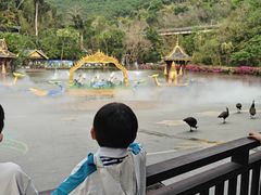 -西双版纳原始森林公园