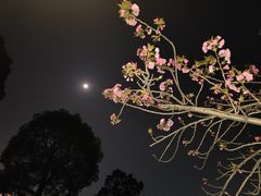 -重庆中央公园(渝北区)