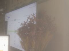 -自然之声助听器·呼吸机(和平店)