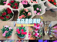 -双季花艺园艺市场(浦东店)