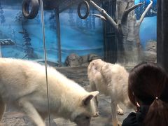 -梦幻海洋王国(吾悦广场张家港店)