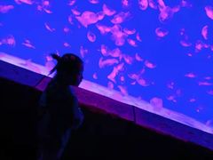 -波塞冬海底世界