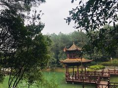 -铁山坪森林公园