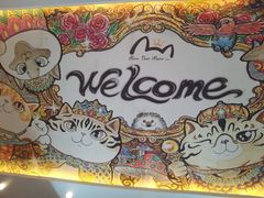 -more than meow吴止猫主题餐厅(承德 中船汇店)