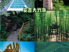 -中国大竹海景区