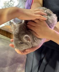 -Zoolung Zoolung动物主题公园(海信广场店)